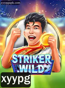 Descubra o Universo Empolgante de StrikerWILD